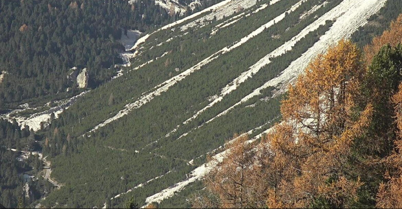 Webcam Vigo di Fassa-Pera-Ciampedie - Vigo - Conca del Gardeccia