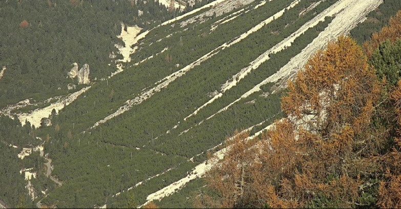 Webcam Vigo di Fassa-Pera-Ciampedie - Vigo - Conca del Gardeccia