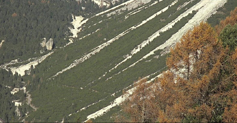 Webcam Vigo di Fassa-Pera-Ciampedie - Vigo - Conca del Gardeccia