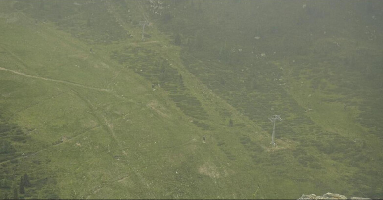 Webcam San Martino di Castrozza - Passo Rolle - Tognola - Pista Cigolera