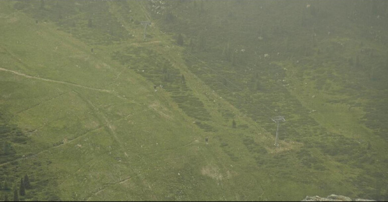 Webcam San Martino di Castrozza - Passo Rolle - Tognola - Pista Cigolera