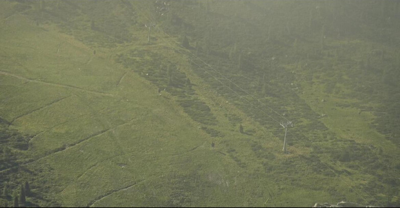 Webcam San Martino di Castrozza - Passo Rolle - Tognola - Pista Cigolera