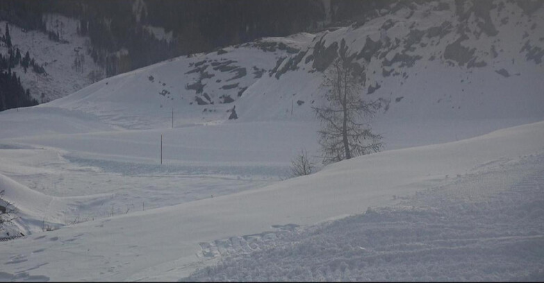 Webcam San Martino di Castrozza - Passo Rolle  - Pista Tognola UNO