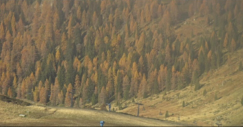 Webcam San Martino di Castrozza - Passo Rolle - Tognola - Pista Scandola