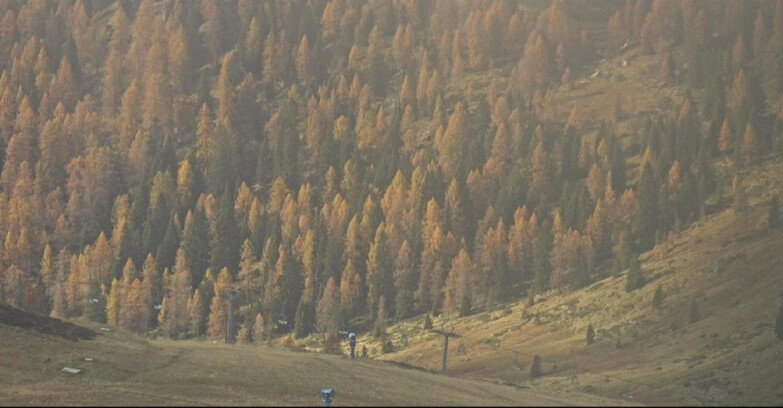 Webcam San Martino di Castrozza - Passo Rolle - Tognola - Piste Scandola