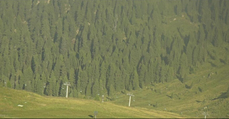 Webcam San Martino di Castrozza - Passo Rolle - Tognola - Piste Scandola