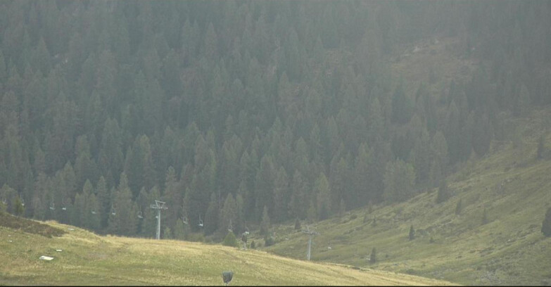 Webcam San Martino di Castrozza - Passo Rolle - Tognola - Pista Scandola