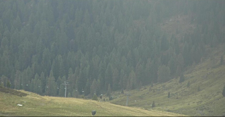 Webcam San Martino di Castrozza - Passo Rolle - Tognola - Pista Scandola