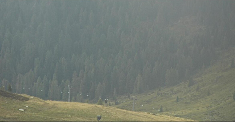 Webcam San Martino di Castrozza - Passo Rolle - Tognola - Pista Scandola