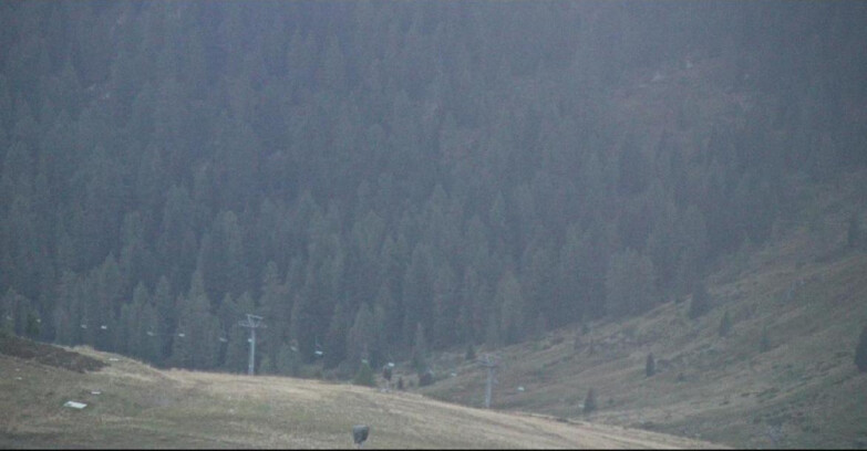 Webcam San Martino di Castrozza - Passo Rolle - Tognola - Pista Scandola