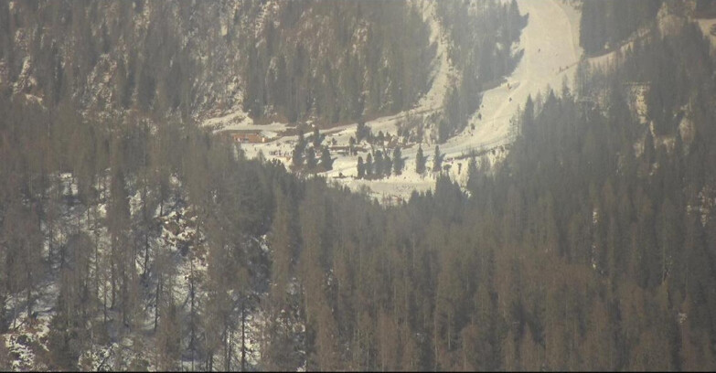 Webcam San Martino di Castrozza - Passo Rolle  - Ces - Malga Valcigolera