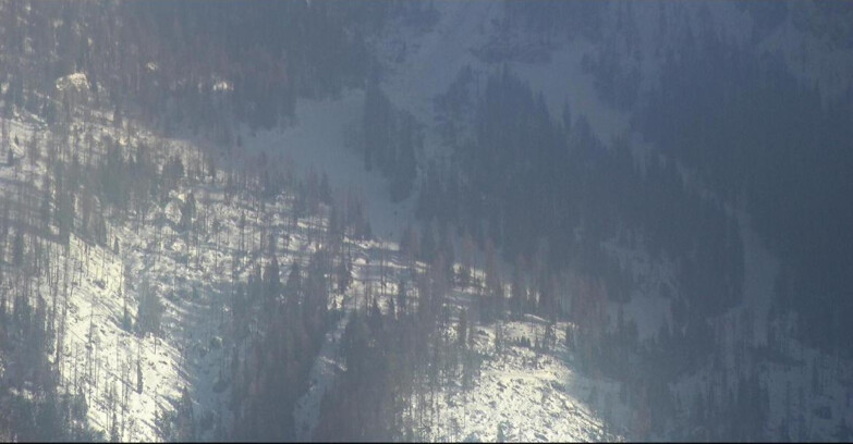 Webcam San Martino di Castrozza - Passo Rolle - Ski Area Col Verde