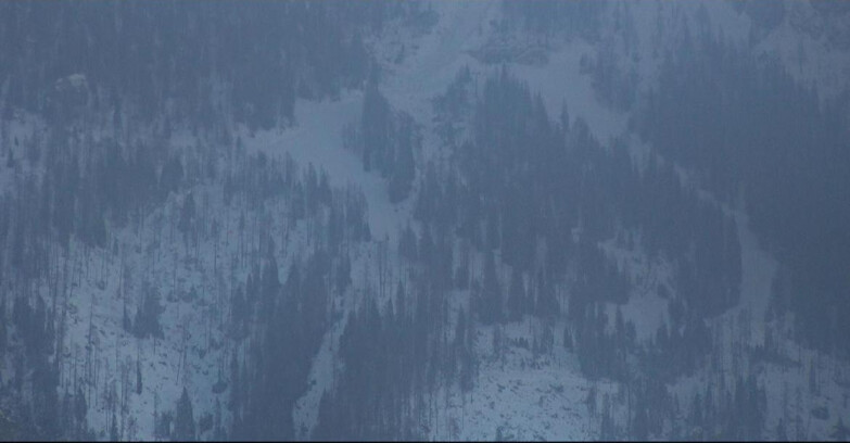 Webcam San Martino di Castrozza - Passo Rolle - Ski Area Col Verde