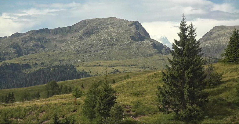 Webcam San Martino di Castrozza - Passo Rolle - Passo Rolle - Bocche